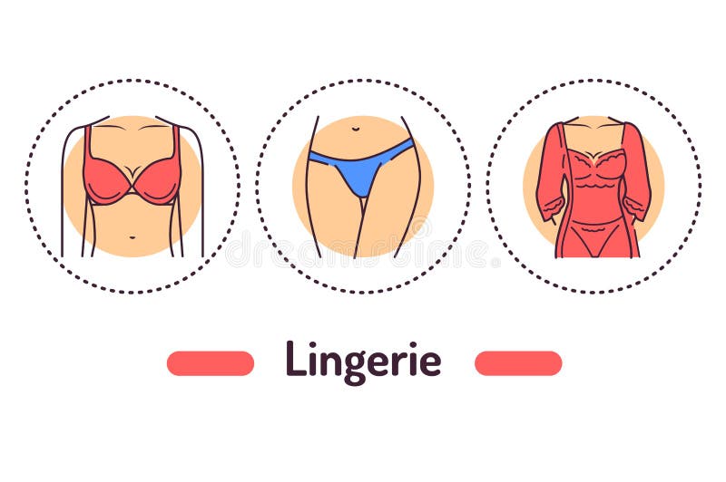 Lingerie Outline Concept. Category of Women S Clothing Including