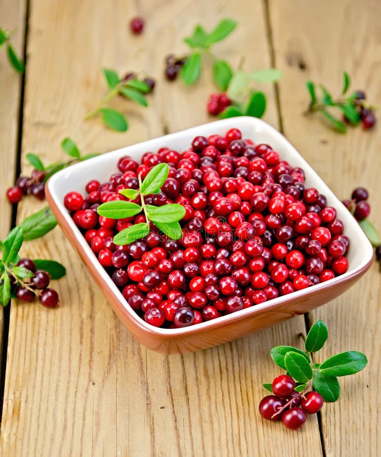 Ripe red lingonberries in a bowl with a sprig of berries and leaves on the background of wooden boards. Ripe red lingonberries in a bowl with a sprig of berries and leaves on the background of wooden boards