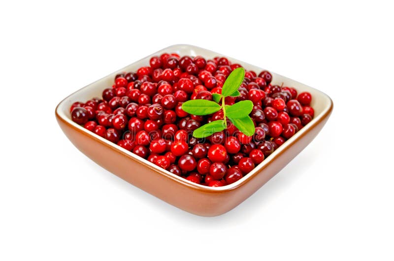 Ripe red cowberry, sprig with berries and leaves in a bowl with a light shade on white background. Ripe red cowberry, sprig with berries and leaves in a bowl with a light shade on white background