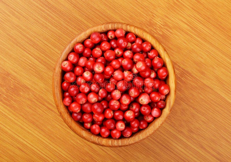 Lingonberry Vaccinium vitis-idaea royalty free stock image Lingonberry Vaccinium vitis-idaea royalty free stock image