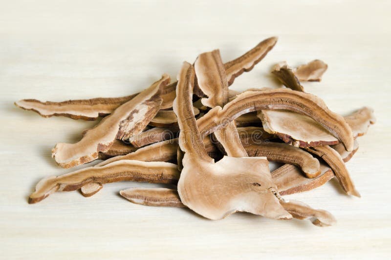 Lingzhi Mushroom, Chinese Traditional Medicine, Ganoderma Lucidu Stock