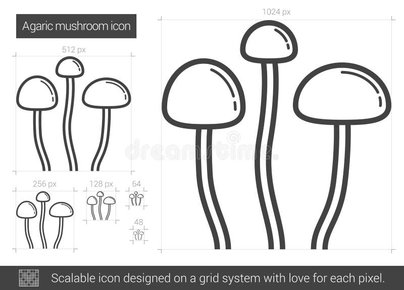 Cogumelo-do-mar-vermelho No Fundo De Um Campo Florescente. Flores  Silvestres E Erva. Vetor Isolado Em Branco. Desenho Animado Ilustração do  Vetor - Ilustração de cozinhar, fungo: 203560476