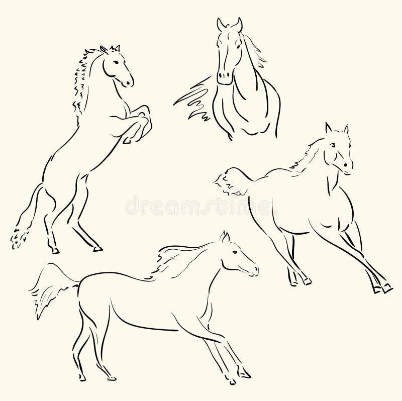 Como Desenhar Esboço Natureza Cavalo Permanente Criação Passo Passo Desenho  imagem vetorial de Nataljacernecka© 325188972