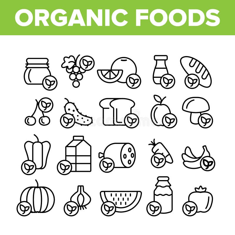 Linha fina grupo do vetor dos alimentos orgânicos dos ícones ilustração stock Linha fina grupo do vetor dos alimentos orgânicos dos ícones ilustração stock