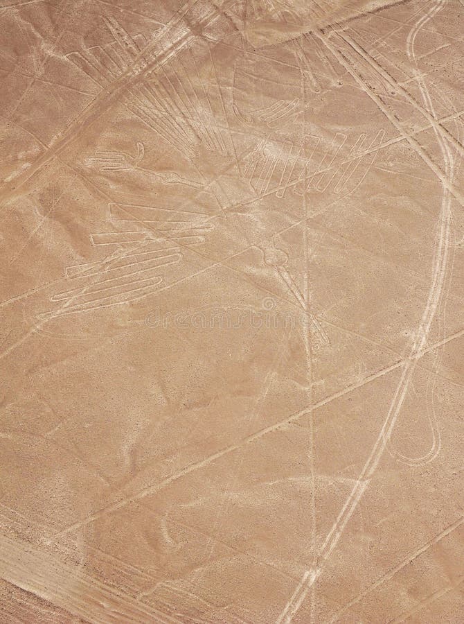 Linhas de Nazca - pássaro