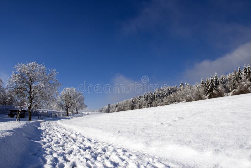 Linii în zăpadă proaspătă stock images