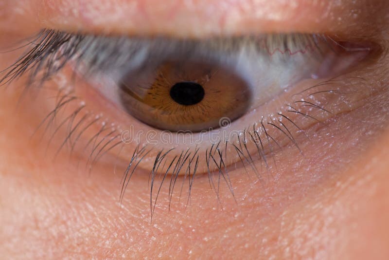 156 Linkes Auge Fotos Kostenlose Und Royalty Free Stock Fotos Von Dreamstime