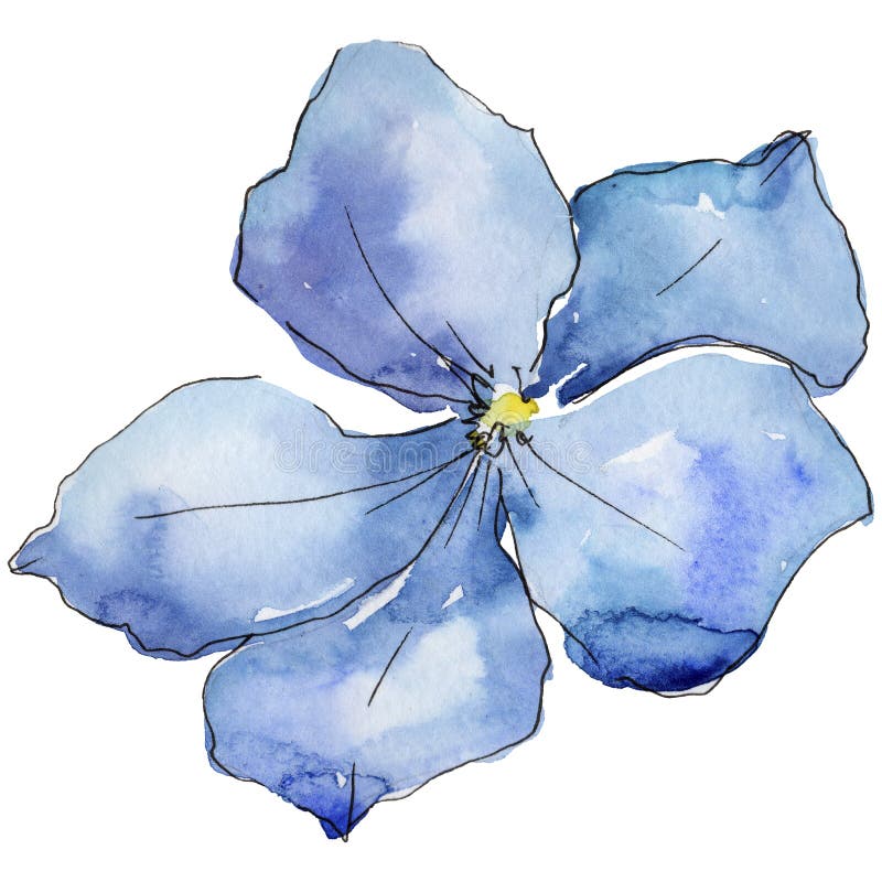 Lino blu Fiore botanico floreale Wildflower selvatico della foglia della molla isolato illustrazione di stock Lino blu Fiore botanico floreale Wildflower selvatico della foglia della molla isolato illustrazione di stock