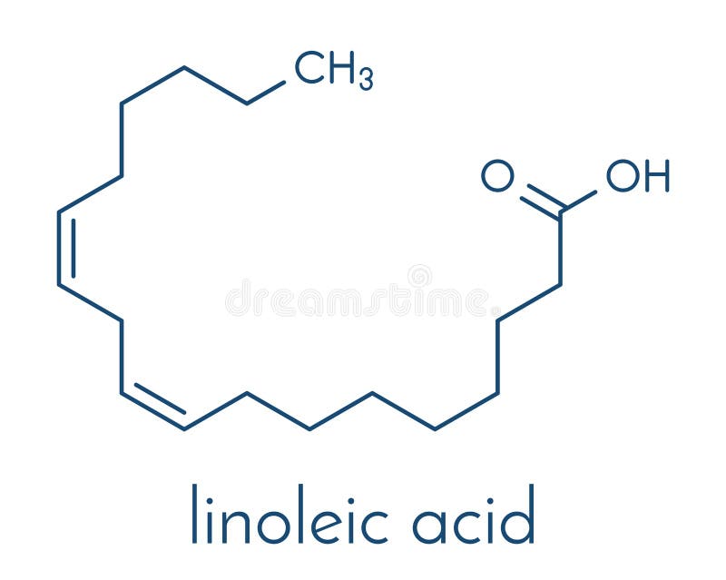 Linoleic Acid LA Molecule. Omega6 Polynsaturated Fatty Acid. Skeletal