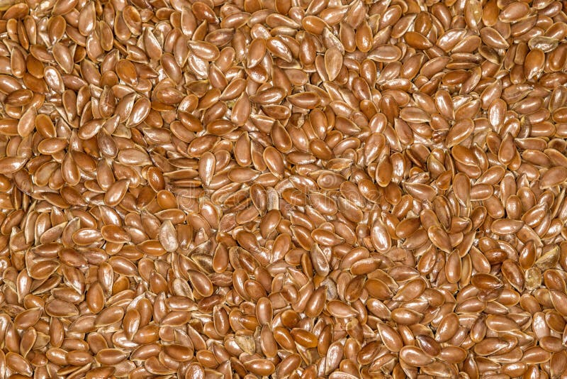 Linseed stock photo. Image of health, fatty, nutritional 42392264