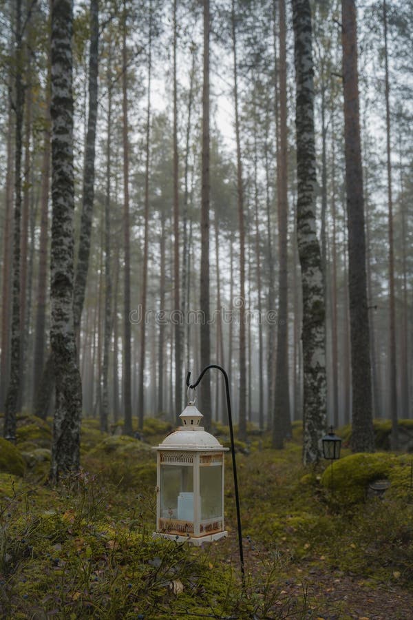 White grave lantern in a misty forest on a foggy morning. White grave lantern in a misty forest on a foggy morning