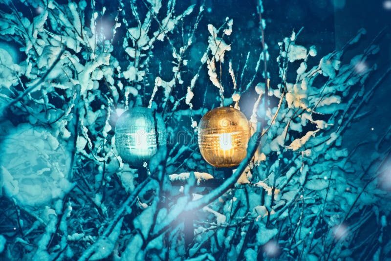 Linterna ligera y árboles nevados en una noche fría del invierno imagen de archivo Linterna ligera y árboles nevados en una noche fría del invierno imagen de archivo