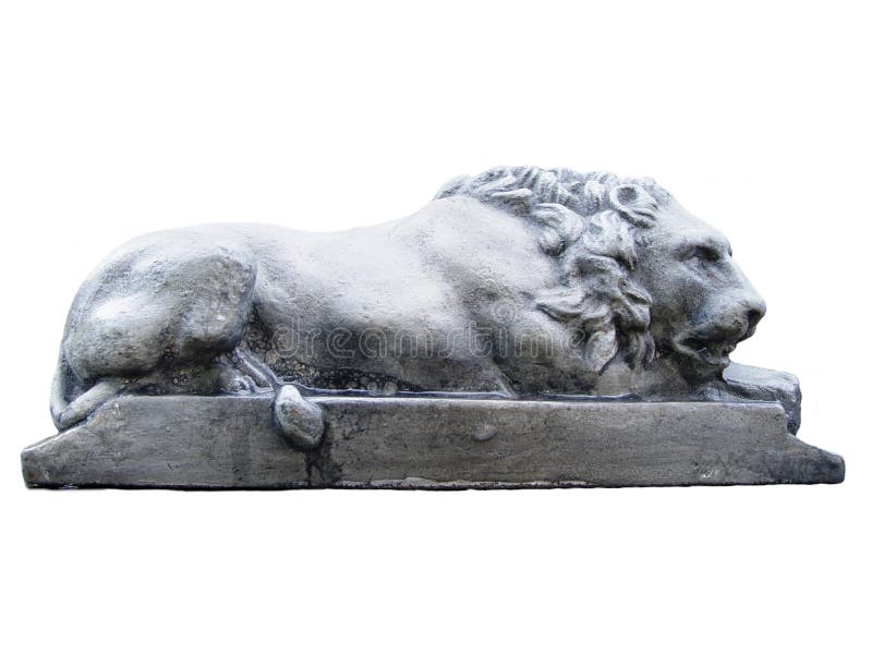lion photos stock lion photos stock