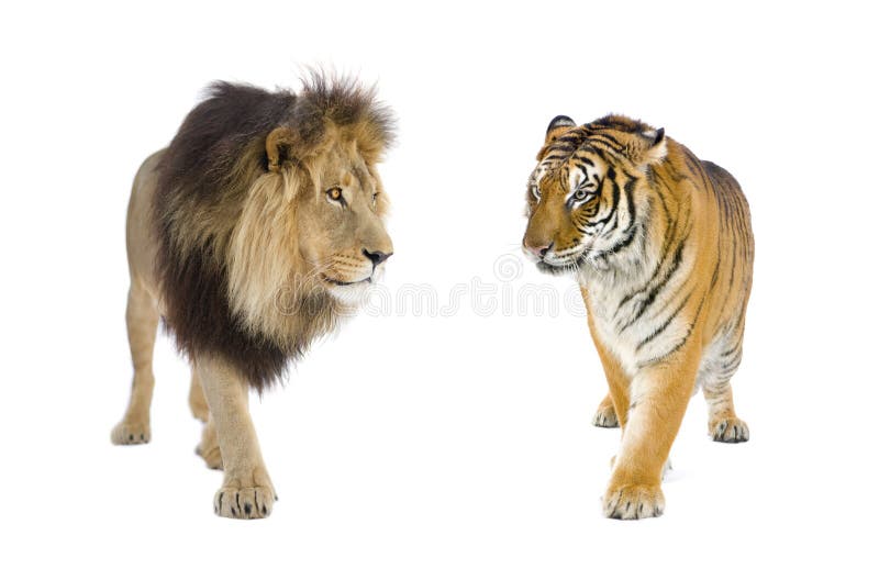 Half a Lion by Palle E.K. Oswald Half a Lion by Palle E.K. Oswald