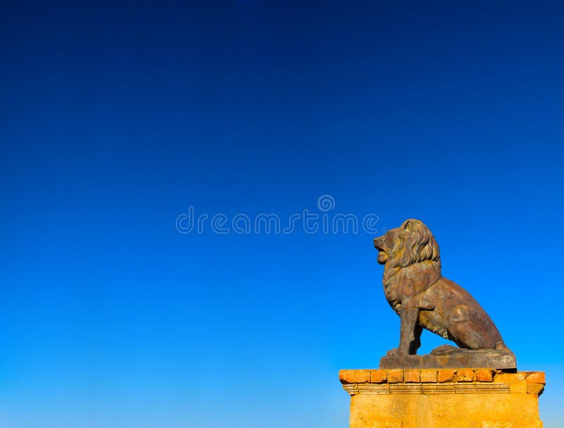 lion royaltyfri fotografi lion royaltyfri fotografi