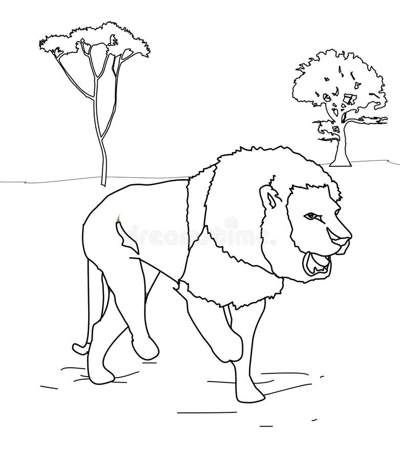 Lion coloring page stock illustration. Illustration of cartoon - 86352726