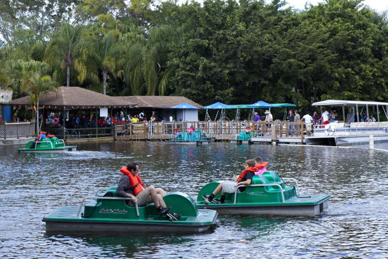Lion Country Safari fotografía editorial. Imagen de florida 71886332