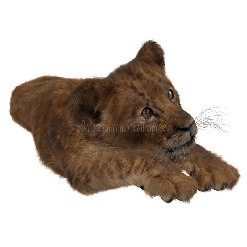 Free Free 97 Baby Lion Cub Svg SVG PNG EPS DXF File