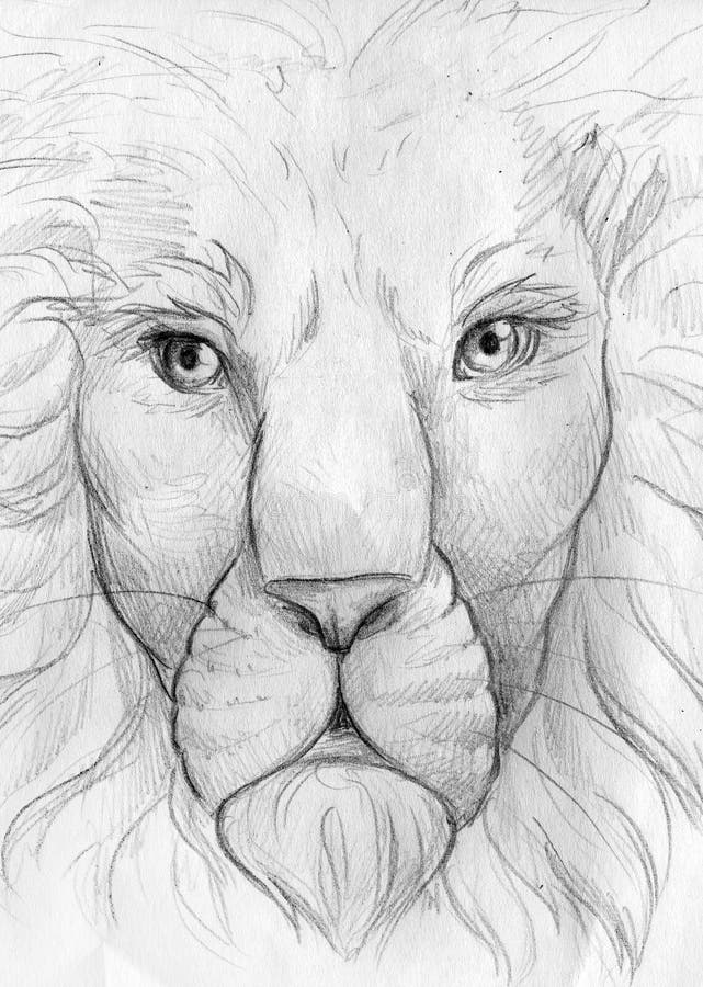 Lion Face Pencil Drawing Step By Step
