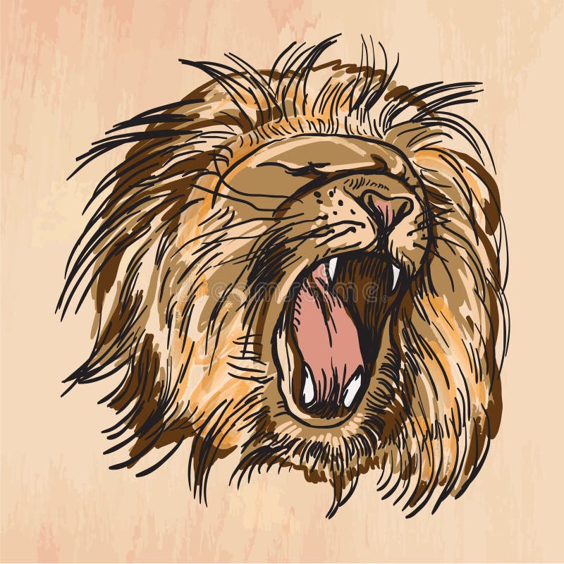 drawings of lions roaring in color