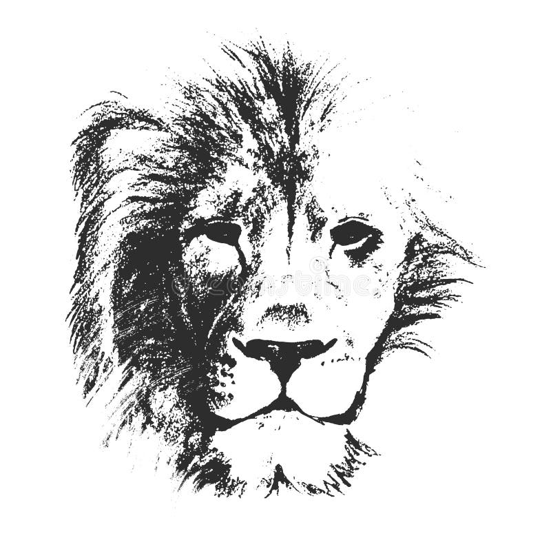 Lion head. hand drawn. vector illustration