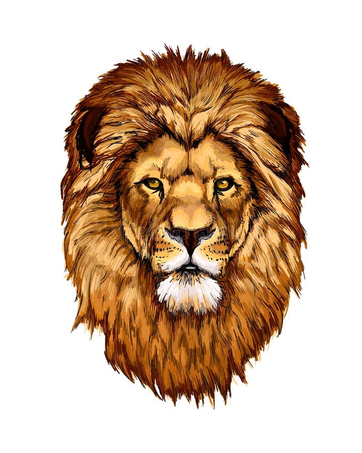 Ethnic Hand Drawing Head of Lion Wearing a Crown. Totem / Tattoo Design.  Use for Print, Posters, T-shirts. Vector Illustration Stock Vector -  Illustration of pattern, drawing: 62975675