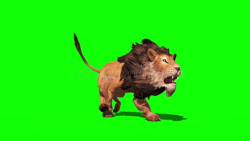 Lion Roars - Fractal Rendering HD, Stock Video