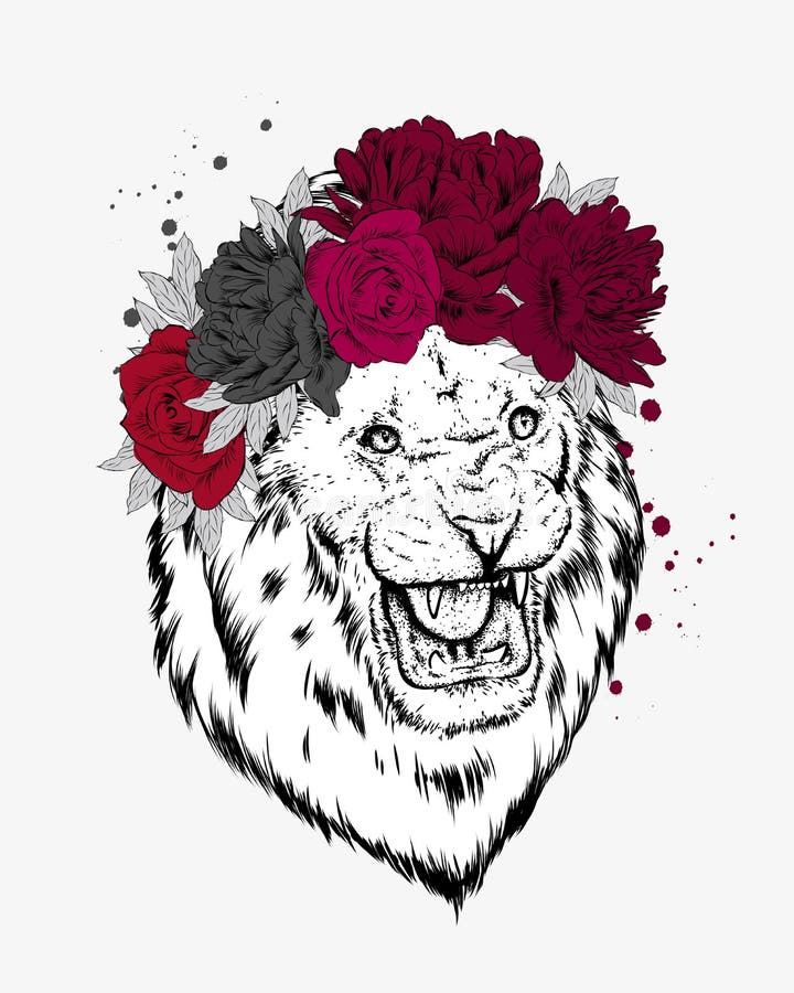 Download Crown Lion Wearing Stock Illustrations - 54 Crown Lion ...