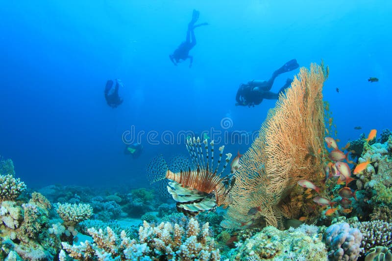 Lionfish and Scuba Divers