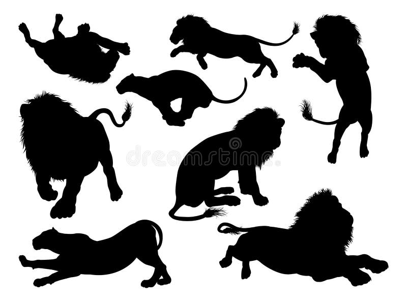 Lions de silhouette illustration de vecteur Lions de silhouette illustration de vecteur
