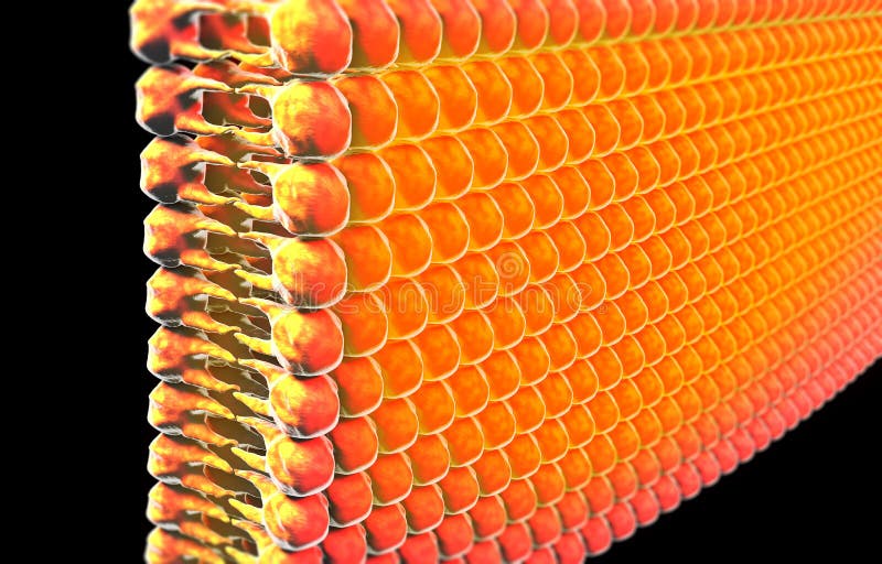 Lipidevorming, vet in het menselijke lichaam Weergeven onder de microscoop stock illustratie Lipidevorming, vet in het menselijke lichaam Weergeven onder de microscoop stock illustratie