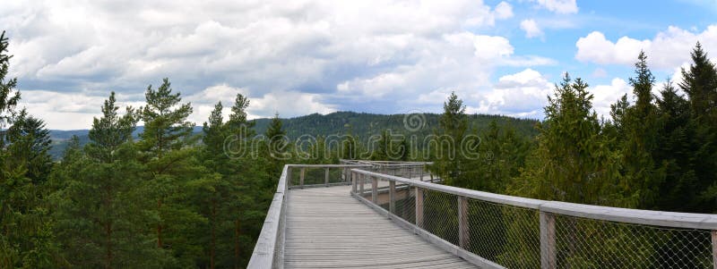 Lipno tree top walk- panorama view