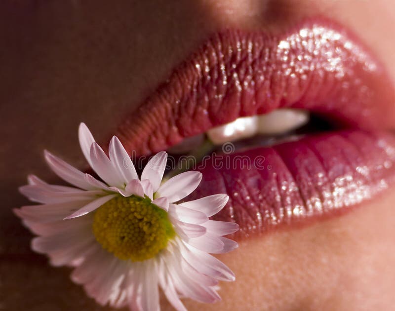 A womans červené pery s daisy medzi jej zuby.