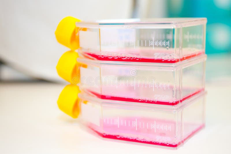 Liquid for bacteria culture royalty free stock photos Liquid for bacteria culture royalty free stock photos