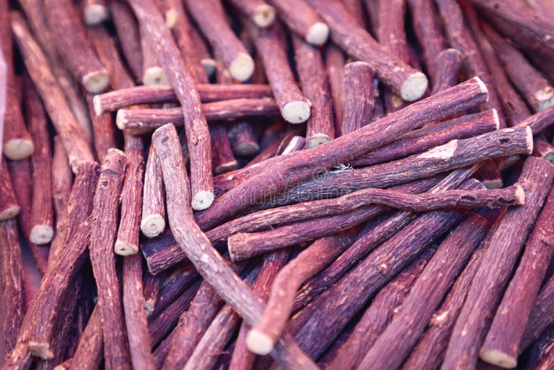 157 Licorice Root Flower Stock Photos Free & RoyaltyFree Stock