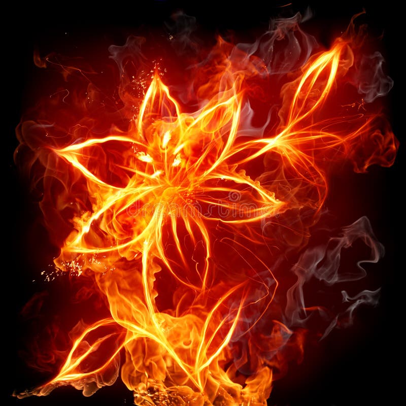 lis d'incendie illustration libre de droits lis d'incendie illustration libre de droits