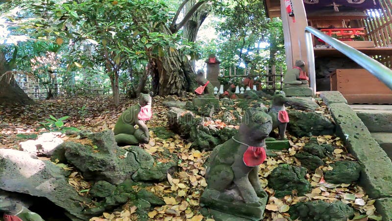 Japan Tokyo. Yoyogi Hachiman Shrine. A shrine with a thousand years of history. Japan Tokyo. Yoyogi Hachiman Shrine. A shrine with a thousand years of history