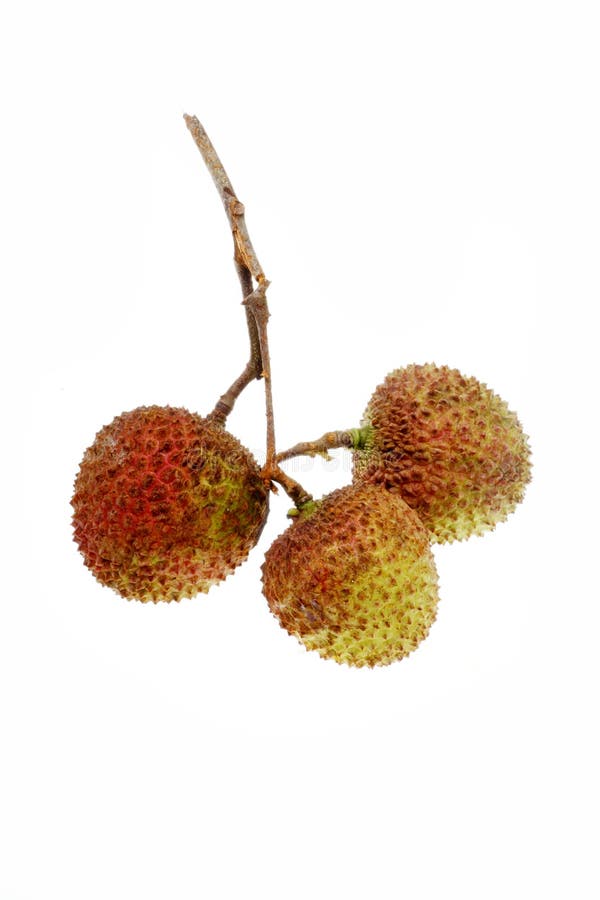 Litchi.