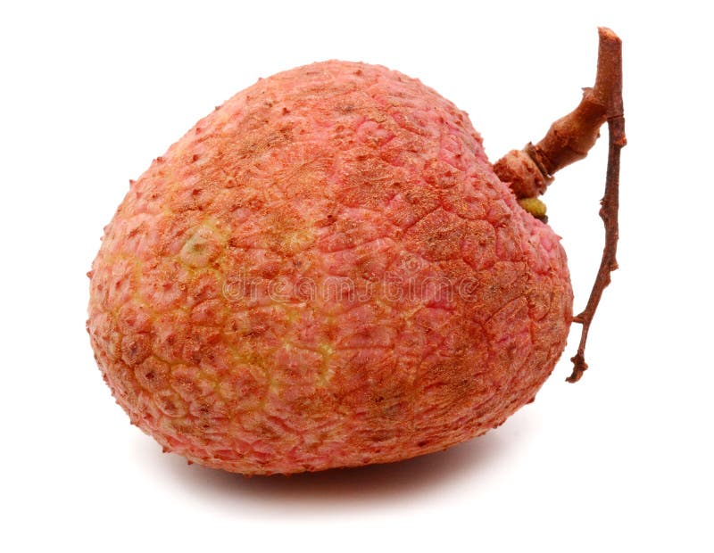 Litchi owoc Pasek, soczysty zdjęcia stock Litchi owoc Pasek, soczysty zdjęcia stock