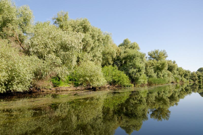 Litcov-Kanal, Donau-Delta, Rumänien stockfoto Litcov-Kanal, Donau-Delta, Rumänien stockfoto