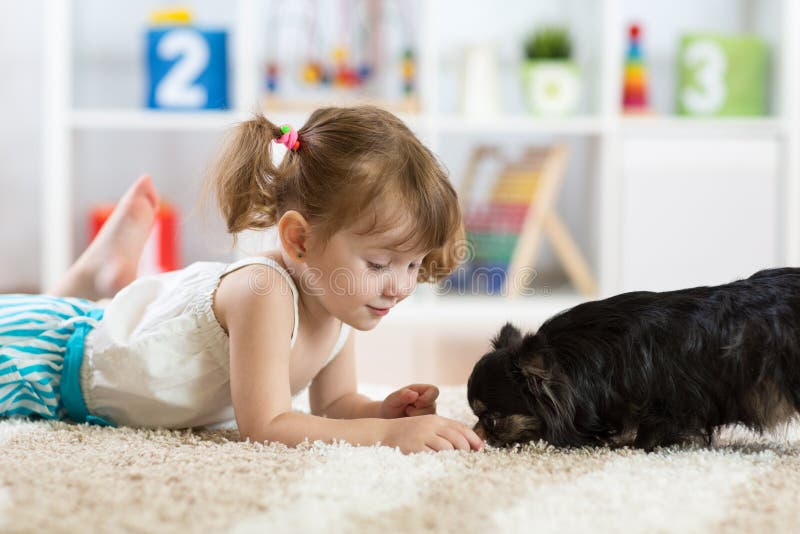 Liten flicka och liten gullig hund i vardagsrummet arkivfoton