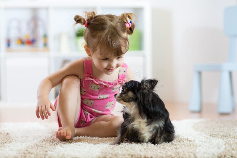 Liten flicka som spelar med hennes lilla gulliga hund i vardagsrummet royaltyfri bild