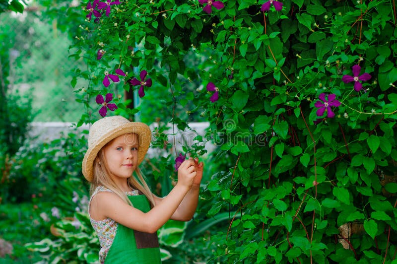 Liten flicka som tar omsorg av klematisblomman i trädgården royaltyfri foto Liten flicka som tar omsorg av klematisblomman i trädgården royaltyfri foto