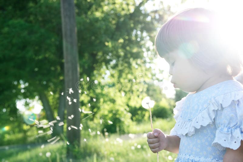 Liten flickaprofil som blåser maskrosblomman på sommar Barnet som tycker om naturen parkerar in royaltyfria foton Liten flickaprofil som blåser maskrosblomman på sommar Barnet som tycker om naturen parkerar in royaltyfria foton