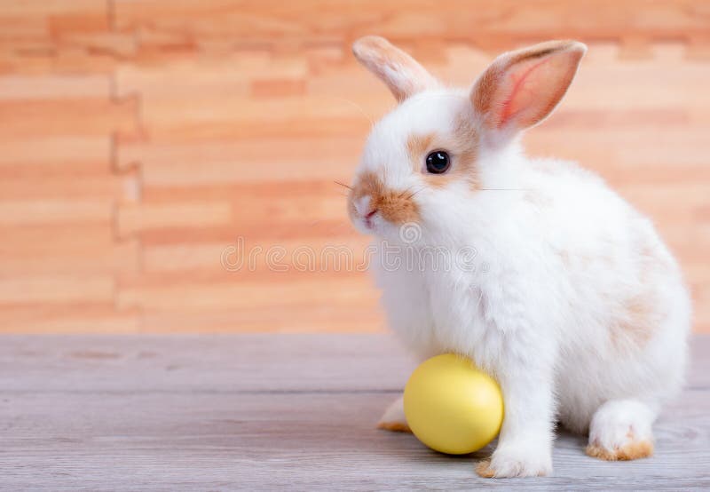 Liten förtjusande kaninkanin med det gula staget för easter ägg på den gråa tabellen med den bruna trämodellen som bakgrund arkivfoto Liten förtjusande kaninkanin med det gula staget för easter ägg på den gråa tabellen med den bruna trämodellen som bakgrund arkivfoto