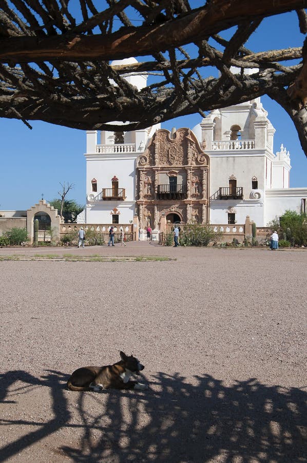 Liten hund som vilar i skuggan på San Xavier del Bac den spanska katolska beskickningen Tucson Arizona royaltyfri foto Liten hund som vilar i skuggan på San Xavier del Bac den spanska katolska beskickningen Tucson Arizona royaltyfri foto