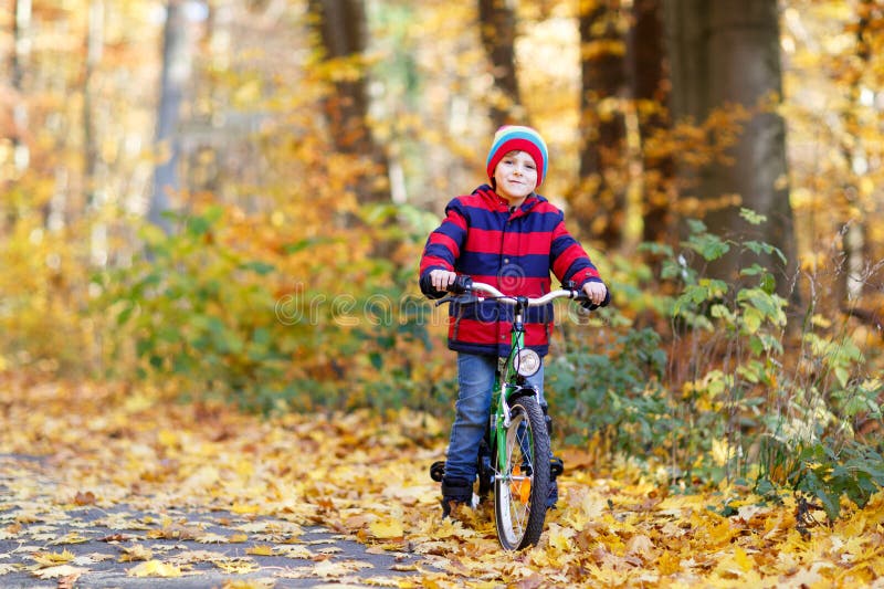 Liten pojke i färgstarka varma kläder i höstskogsparken som kör cykel arkivbild