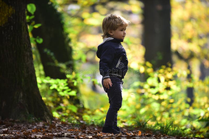Liten pojke i lek för höstskogbarn på utomhus- ny luft Liten prins i sagaträn Höstsemester och royaltyfria bilder Liten pojke i lek för höstskogbarn på utomhus- ny luft Liten prins i sagaträn Höstsemester och royaltyfria bilder