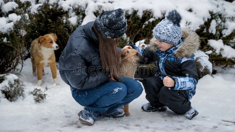 Liten pojke med syster som leker med hundar i snö på husgården. Barn med djur i spel med sällskapsdjur arkivfoto