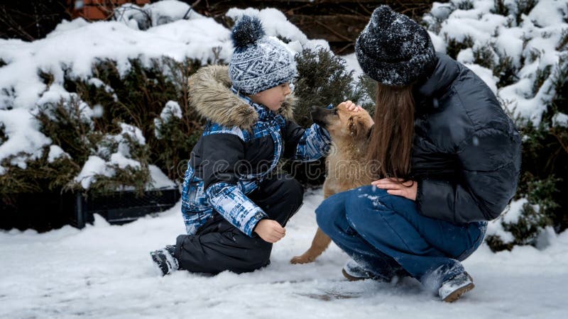 Liten pojke och tonårsflicka som har kul med söt hundvalp på hemmaplan som är täckt av snö royaltyfria foton